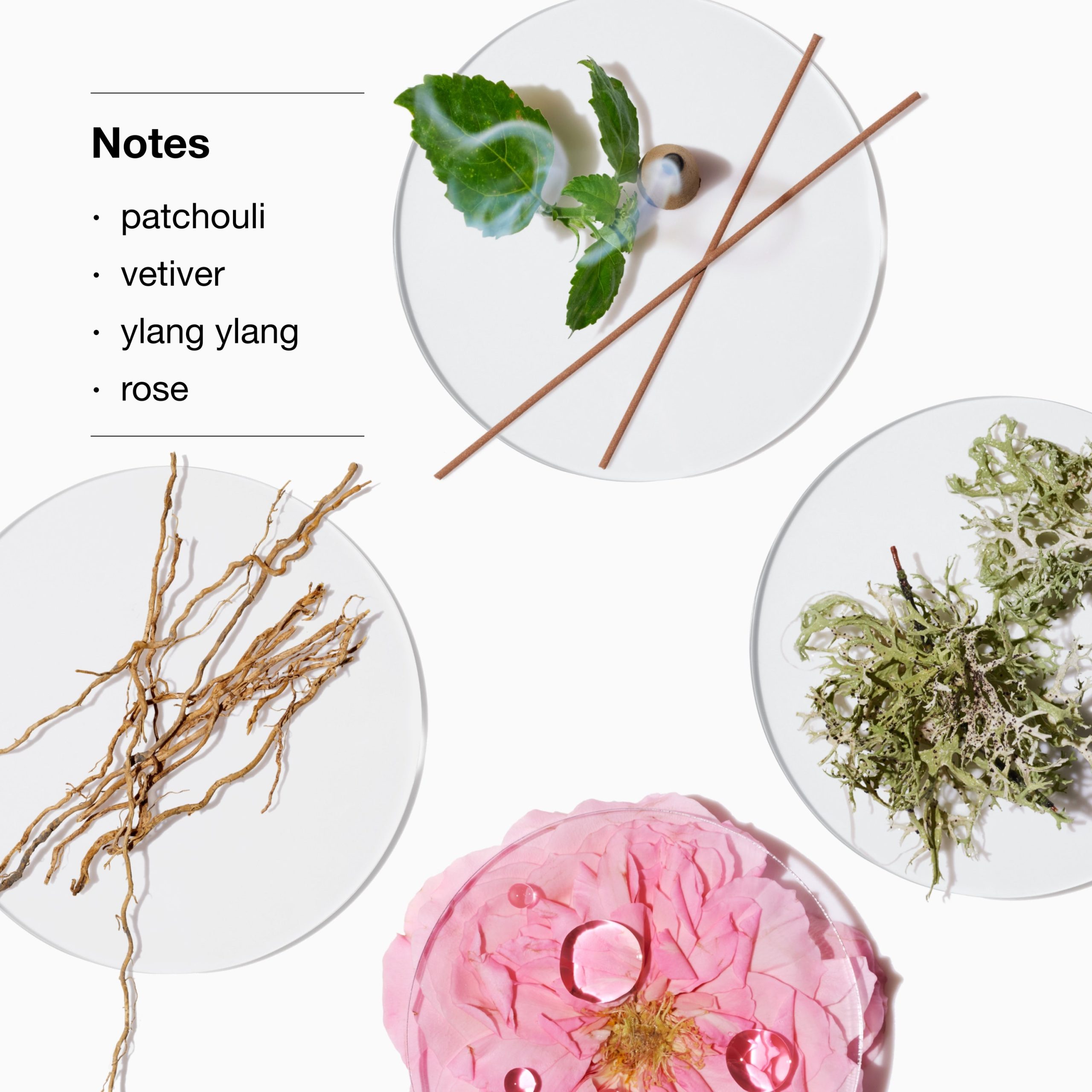 Aromatics Elixir? Body Smoother