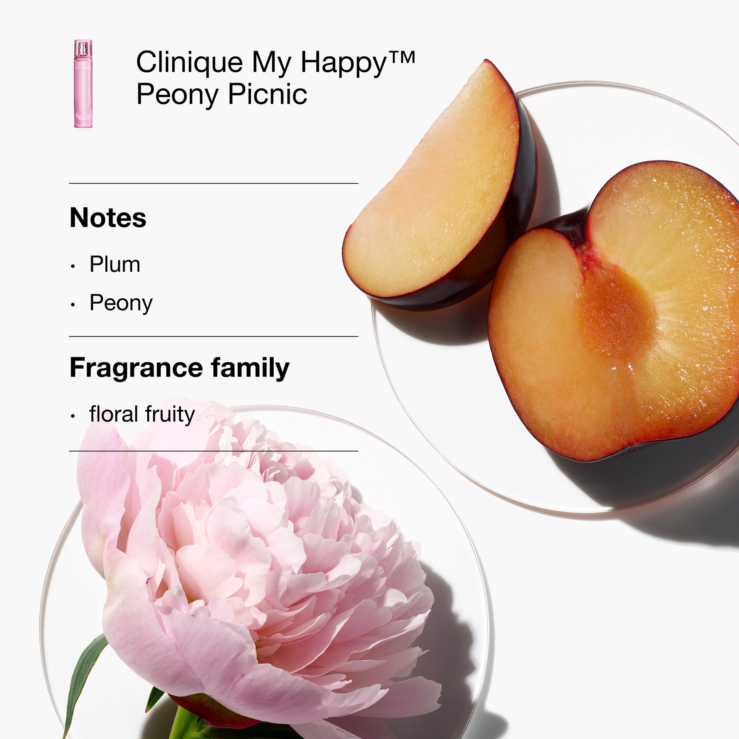 My Happy Favorites - VGJMY6 - Image 4